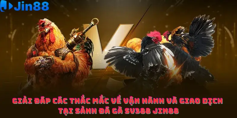 Đá gà SV388 Jin88 – Hướng dẫn Tối ưu Lợi nhuận bằng Quản lý vốn - hình ảnh - advpvfukua.top