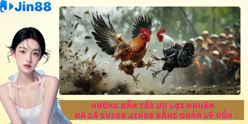 Hướng dẫn Tối ưu Lợi nhuận Đá gà SV388 Jin88 bằng Quản lý vốn